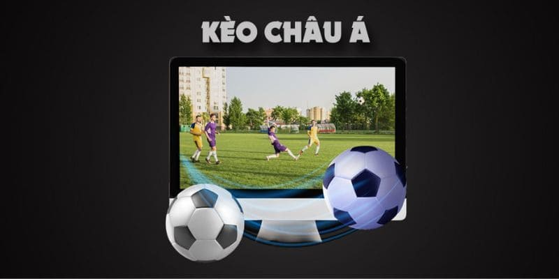 Cách đọc chi tiết trong bảng tỷ lệ&nbsp;